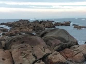 一文字でグレ釣れてます・